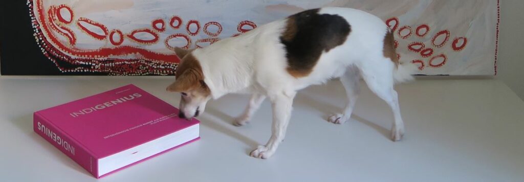 Kleiner Hund 'Dobby', der an INDIGENIUS schnüffelt