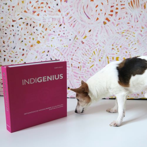 Kleiner Hund 'Dobby' schnüffelt an INDIGENIUS